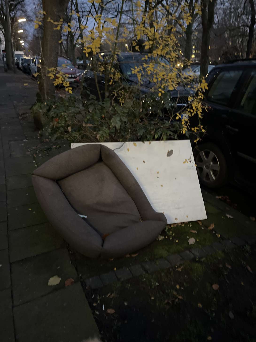 Bild zu gemeldetem Anliegen vom *2025-12-09 16:52:44