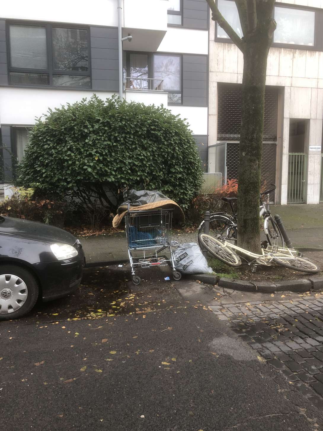 Bild zu gemeldetem Anliegen vom *2025-12-10 15:46:46