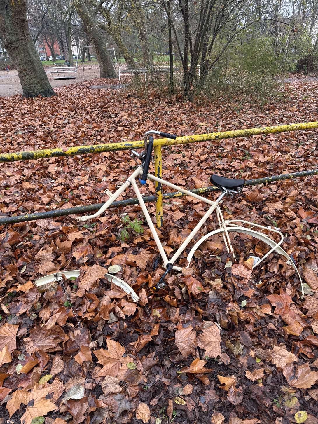 Bild zu gemeldetem Anliegen vom *2025-12-02 09:31:51