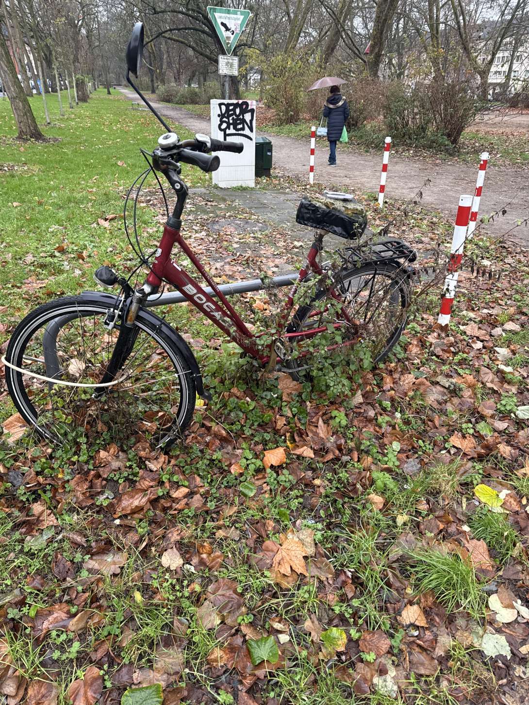 Bild zu gemeldetem Anliegen vom *2025-12-02 10:04:52