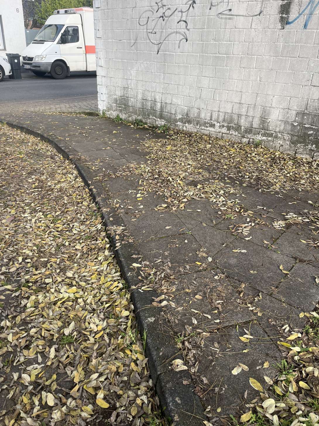 Bild zu gemeldetem Anliegen vom *2025-12-17 14:07:43