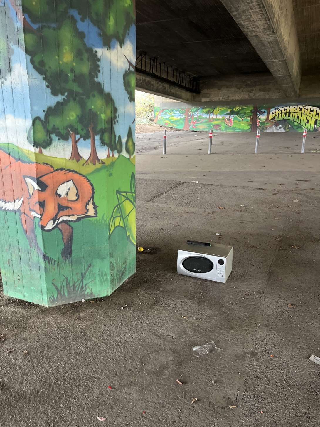 Bild zu gemeldetem Anliegen vom *2025-12-22 13:22:02