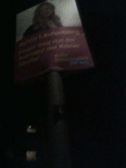 Bild zu gemeldetem Anliegen vom *2025-12-13 00:18:23