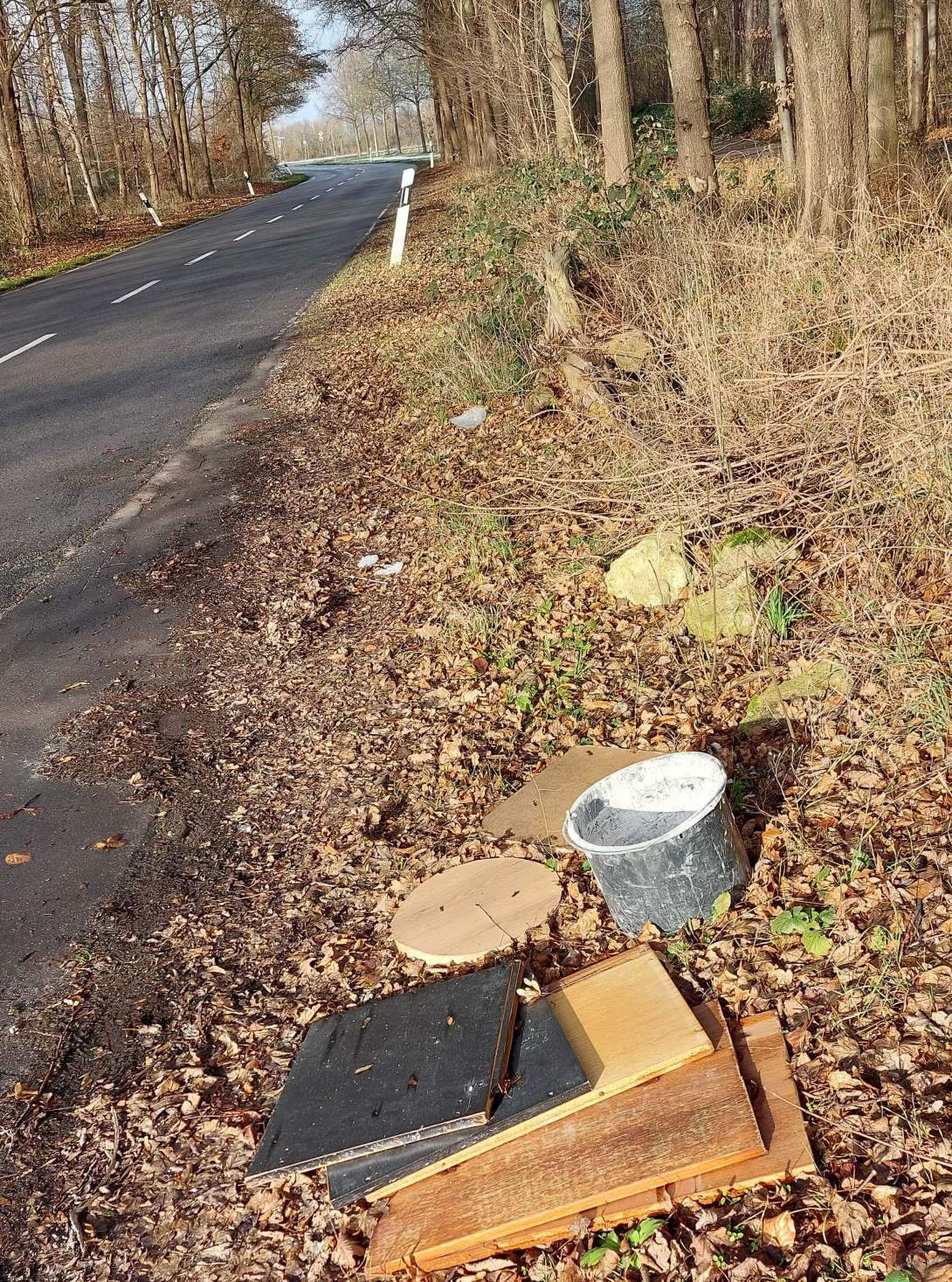 Bild zu gemeldetem Anliegen vom *2026-01-05 11:35:02