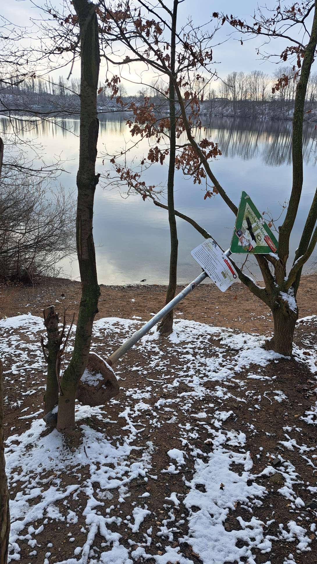 Bild zu gemeldetem Anliegen vom *2026-01-07 09:49:13