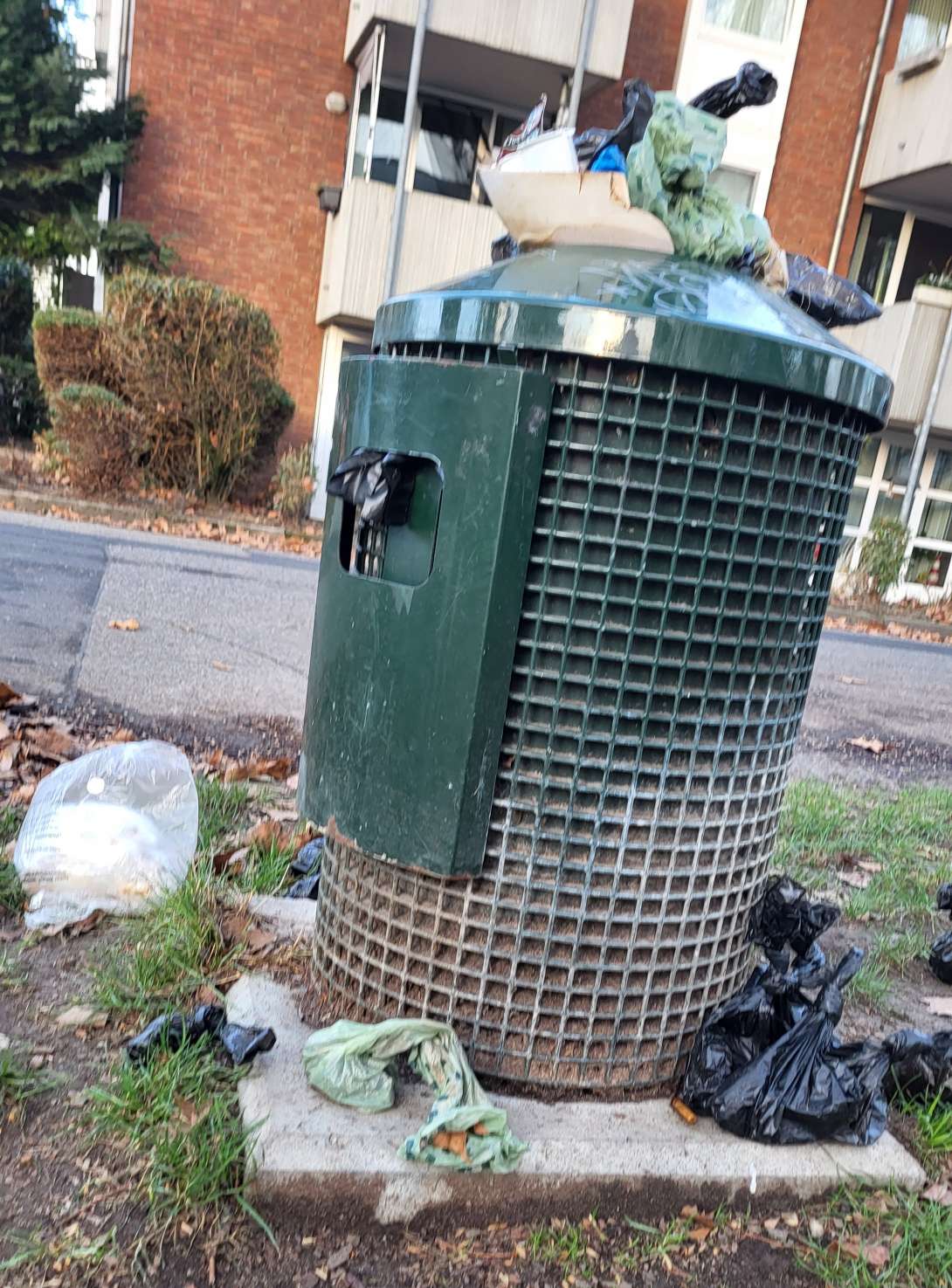 Bild zu gemeldetem Anliegen vom *2026-01-02 17:31:05