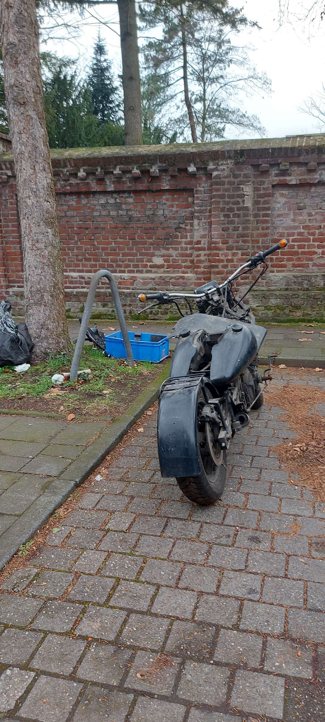 Bild zu gemeldetem Anliegen vom *2026-01-03 14:30:11