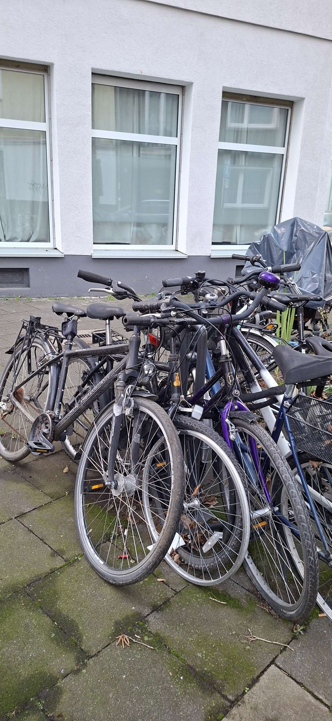 Bild zu gemeldetem Anliegen vom *2026-01-04 15:29:19