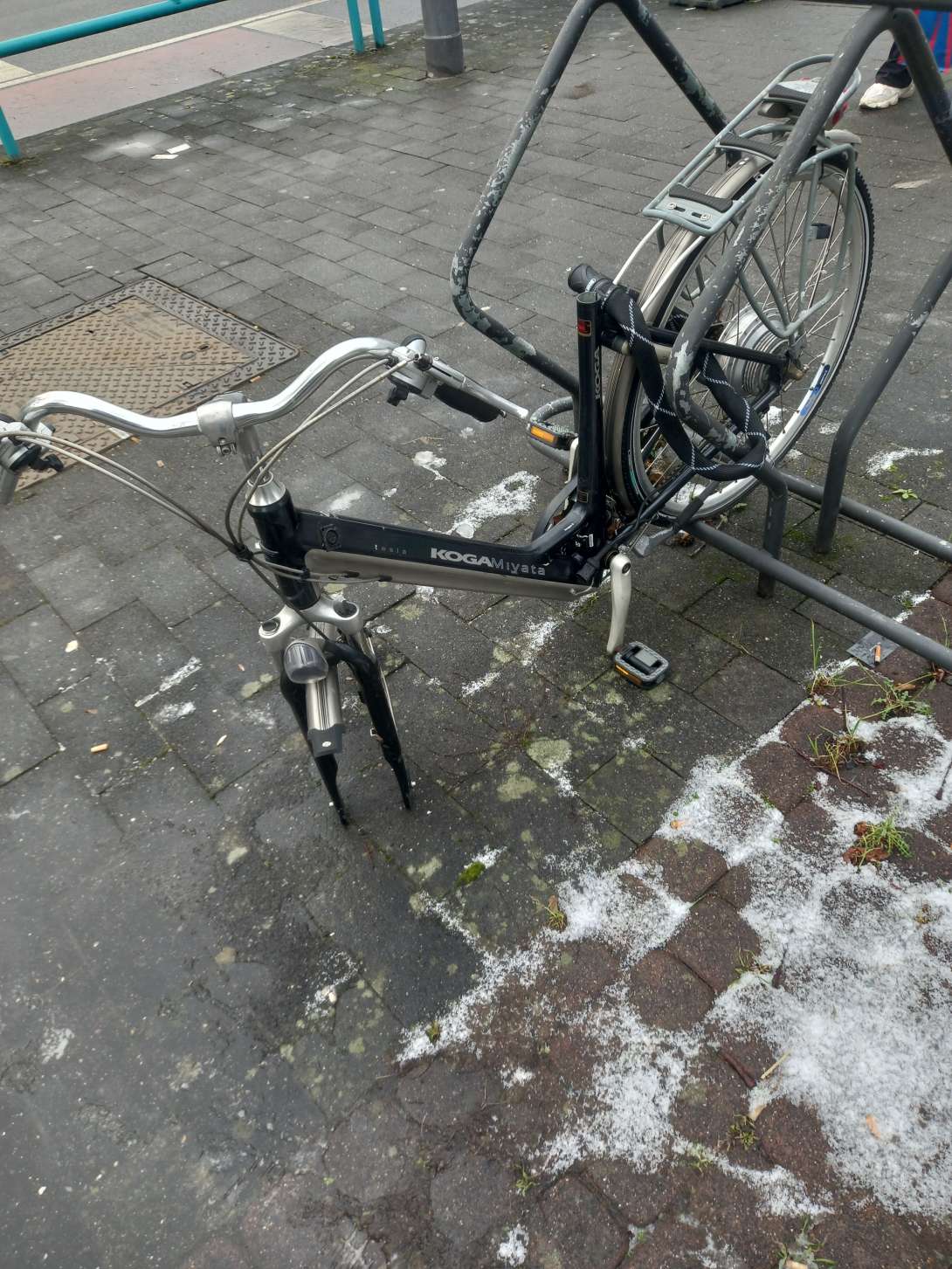 Bild zu gemeldetem Anliegen vom *2026-01-09 06:40:45