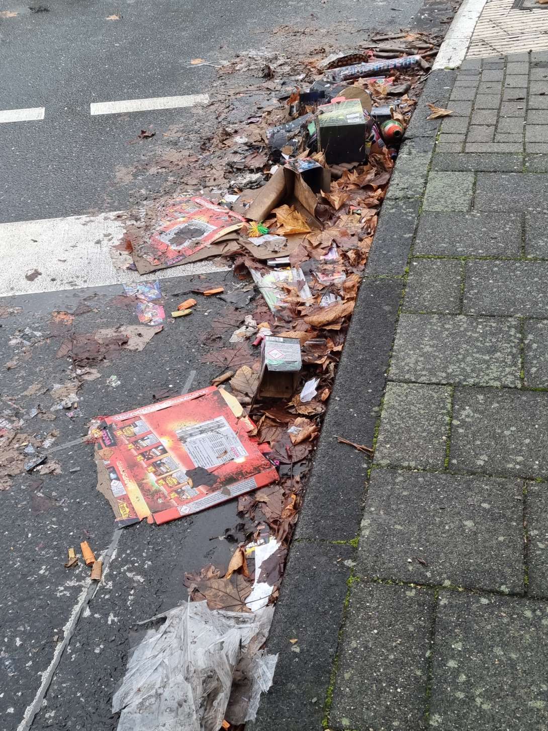 Bild zu gemeldetem Anliegen vom *2026-01-09 15:27:58