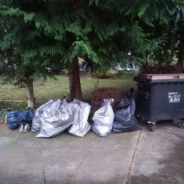 Bild zu gemeldetem Anliegen vom *2026-01-02 11:08:15