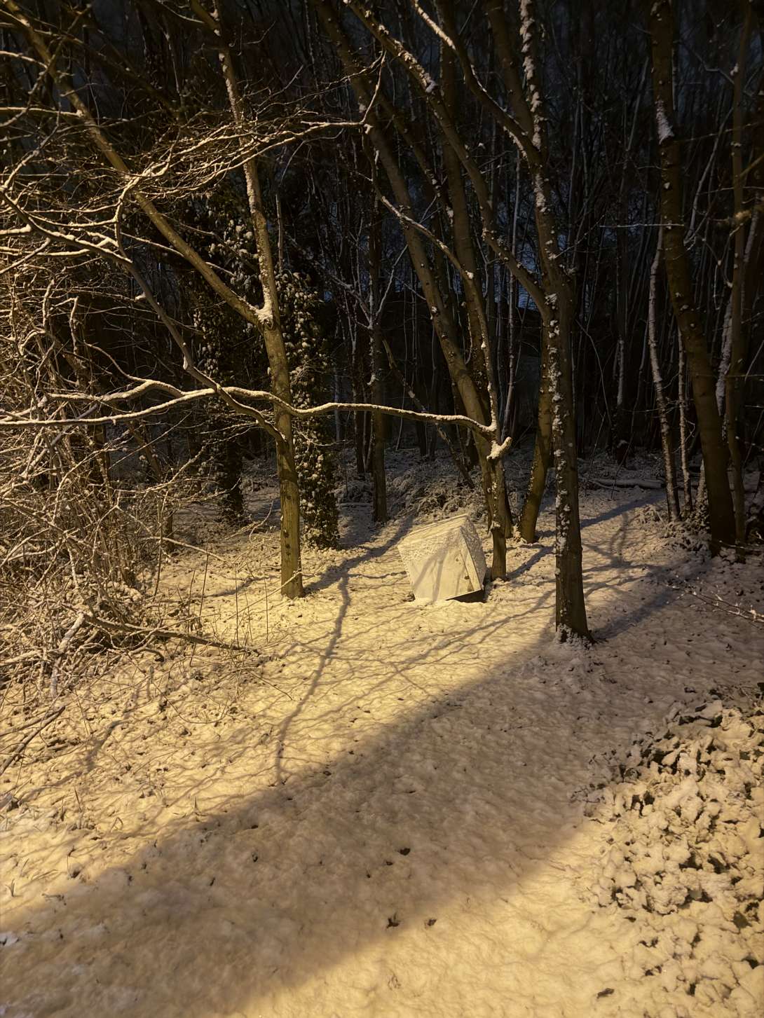 Bild zu gemeldetem Anliegen vom *2026-01-05 10:29:28