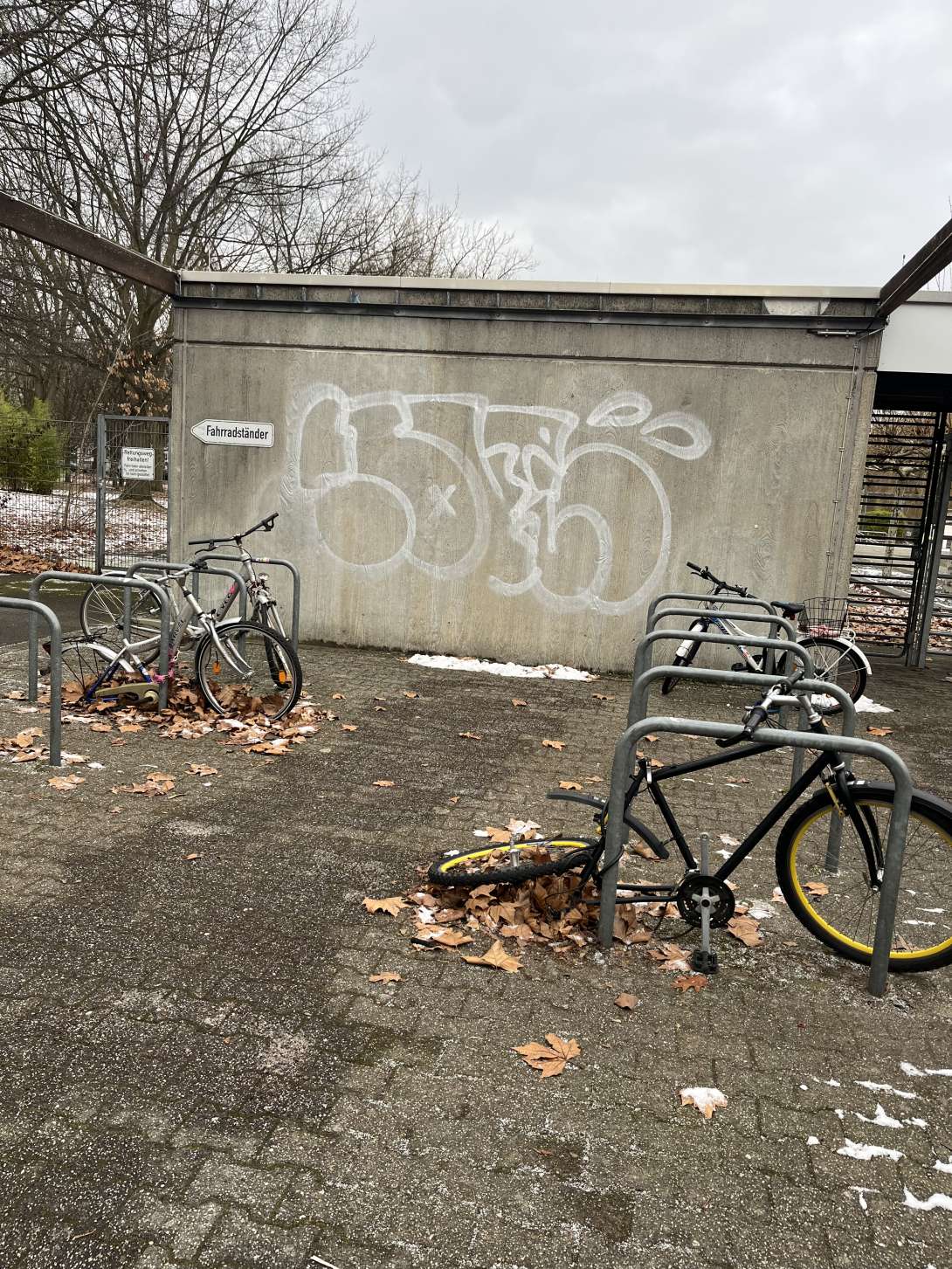 Bild zu gemeldetem Anliegen vom *2026-01-05 12:27:49