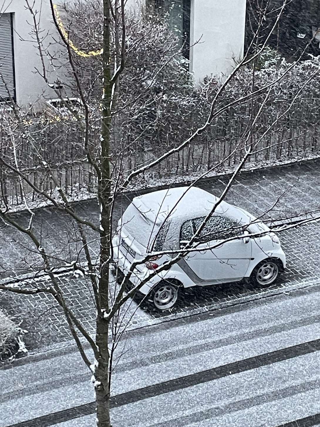 Bild zu gemeldetem Anliegen vom *2026-01-03 15:41:40