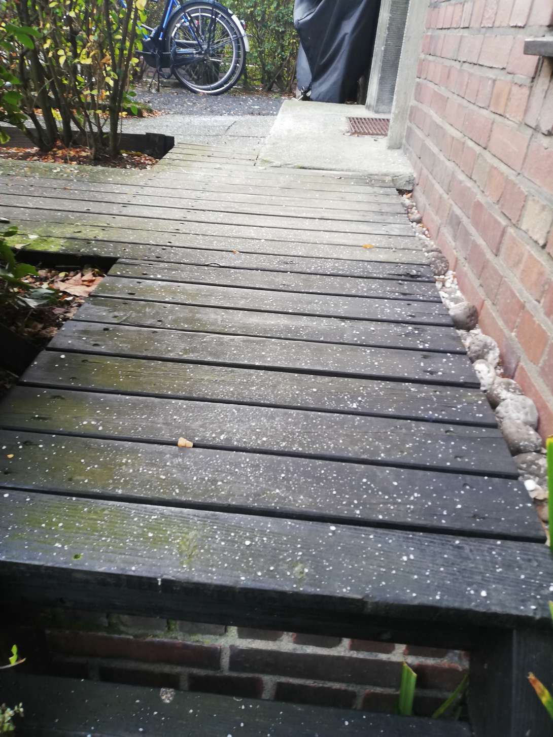 Bild zu gemeldetem Anliegen vom *2026-01-05 16:28:53