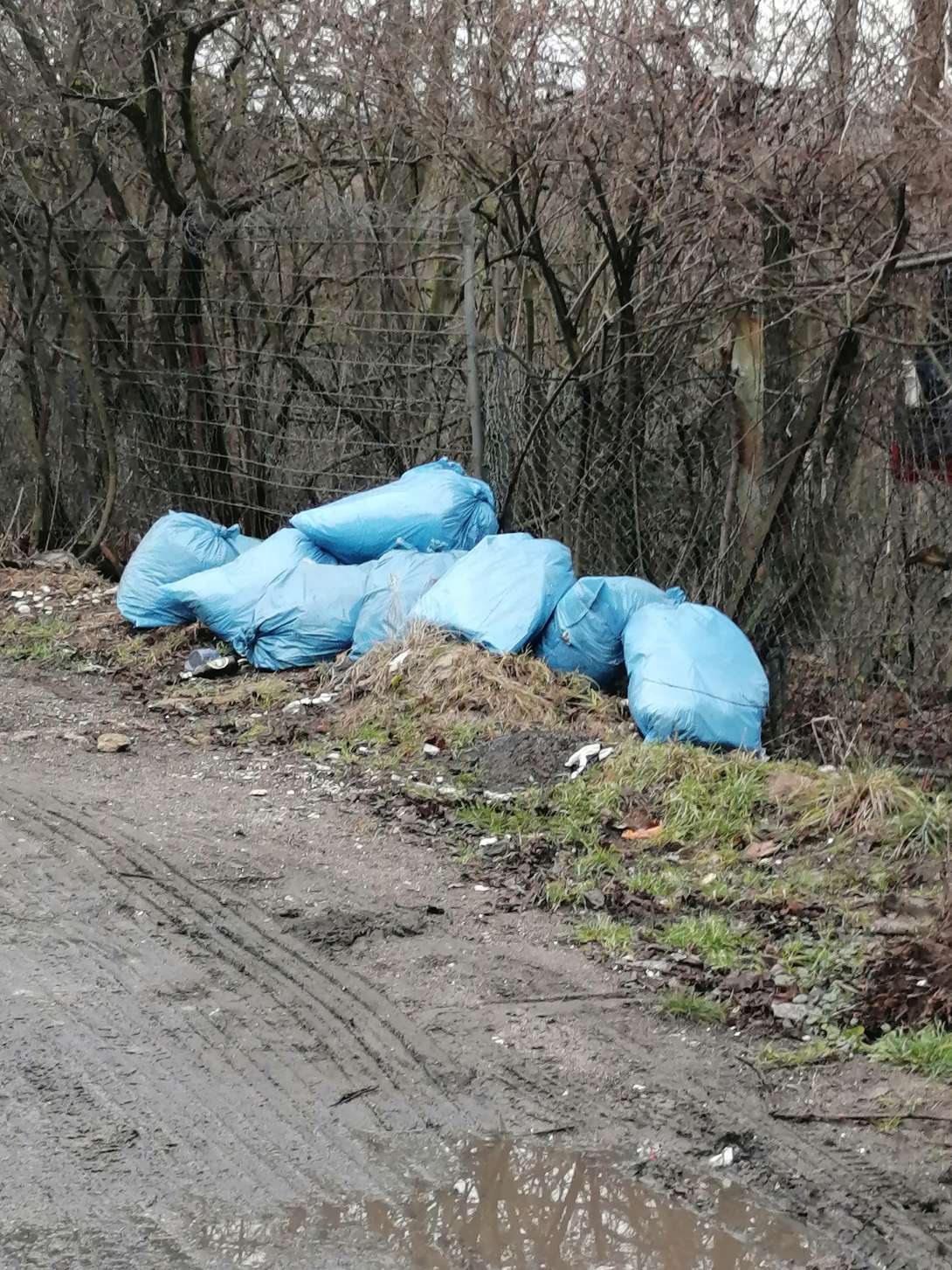 Bild zu gemeldetem Anliegen vom *2026-01-20 15:32:30