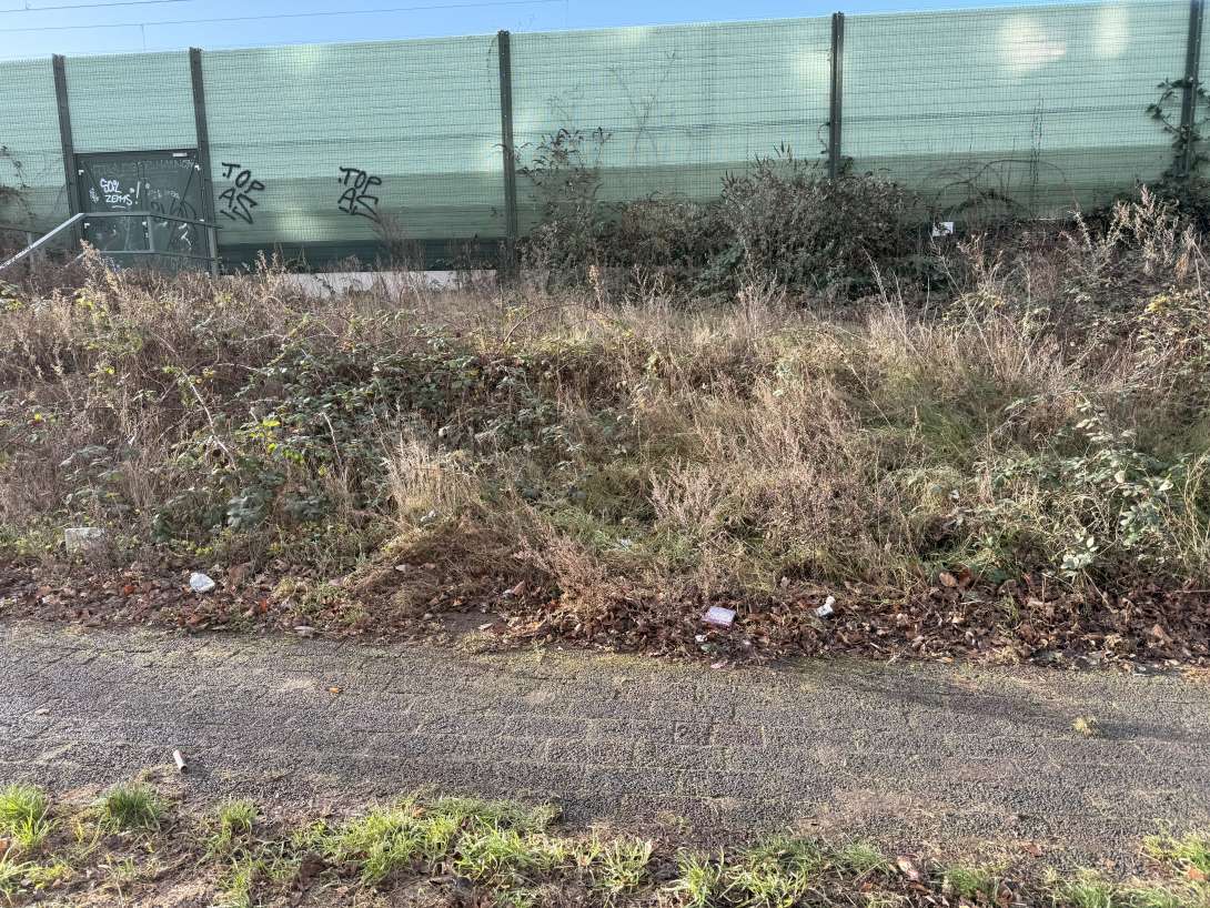 Bild zu gemeldetem Anliegen vom *2026-01-02 10:54:52