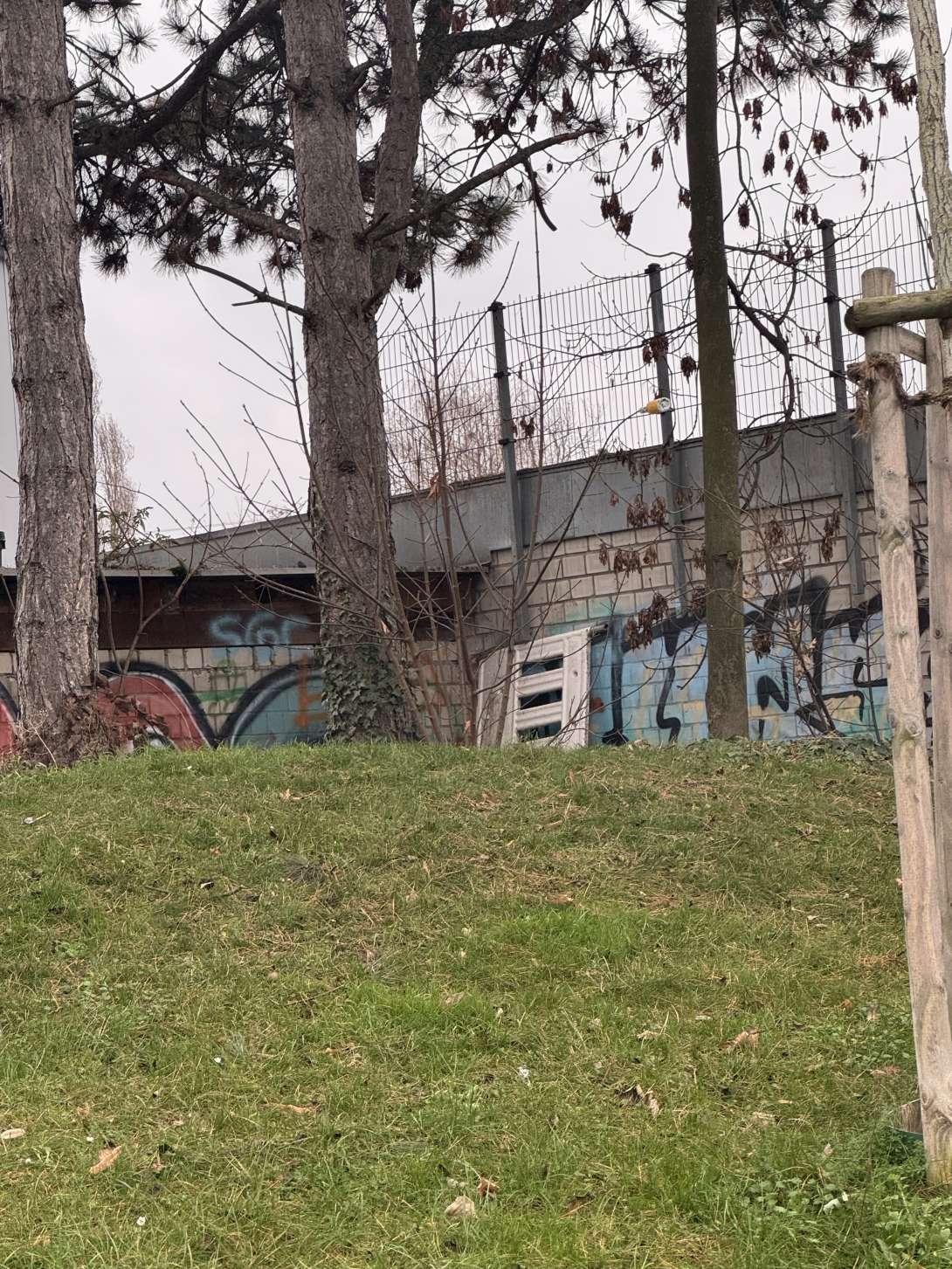 Bild zu gemeldetem Anliegen vom *2026-01-01 15:27:07