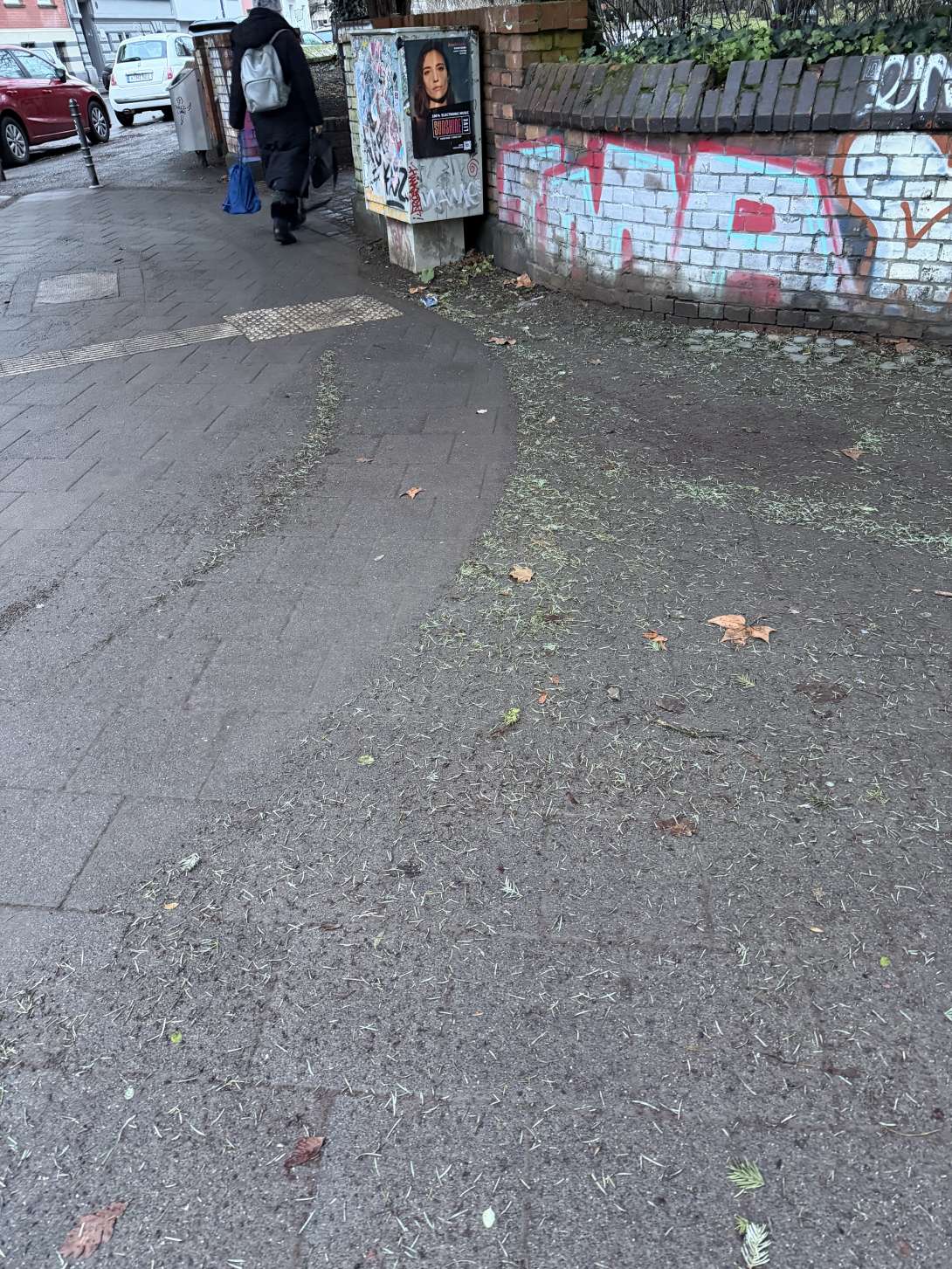 Bild zu gemeldetem Anliegen vom *2026-01-09 09:10:40