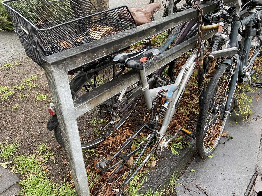 Bild zu gemeldetem Anliegen vom *2026-01-13 21:27:13