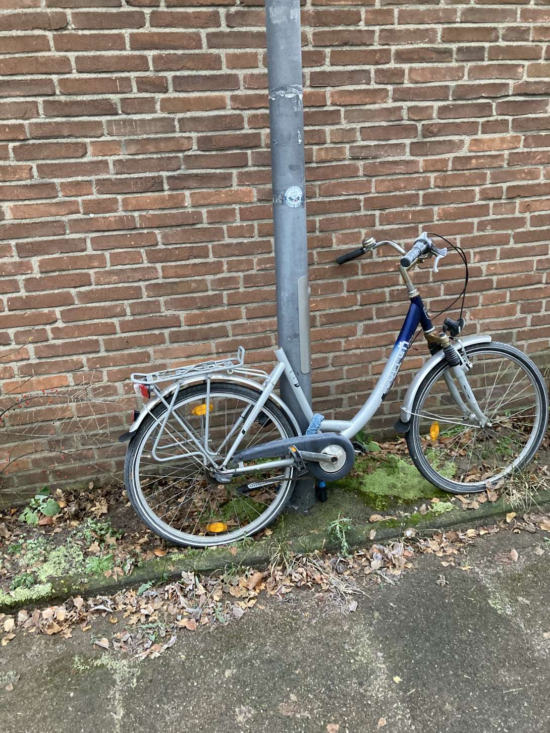 Bild zu gemeldetem Anliegen vom *2026-01-04 12:31:14