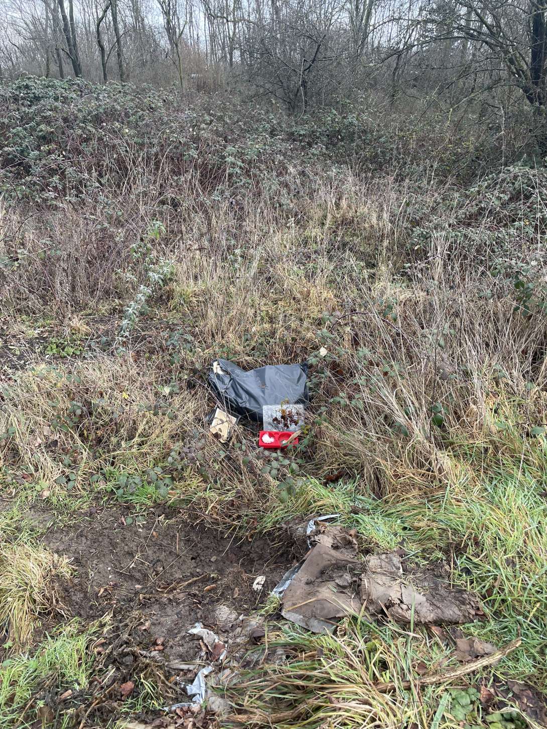 Bild zu gemeldetem Anliegen vom *2026-01-13 19:01:48