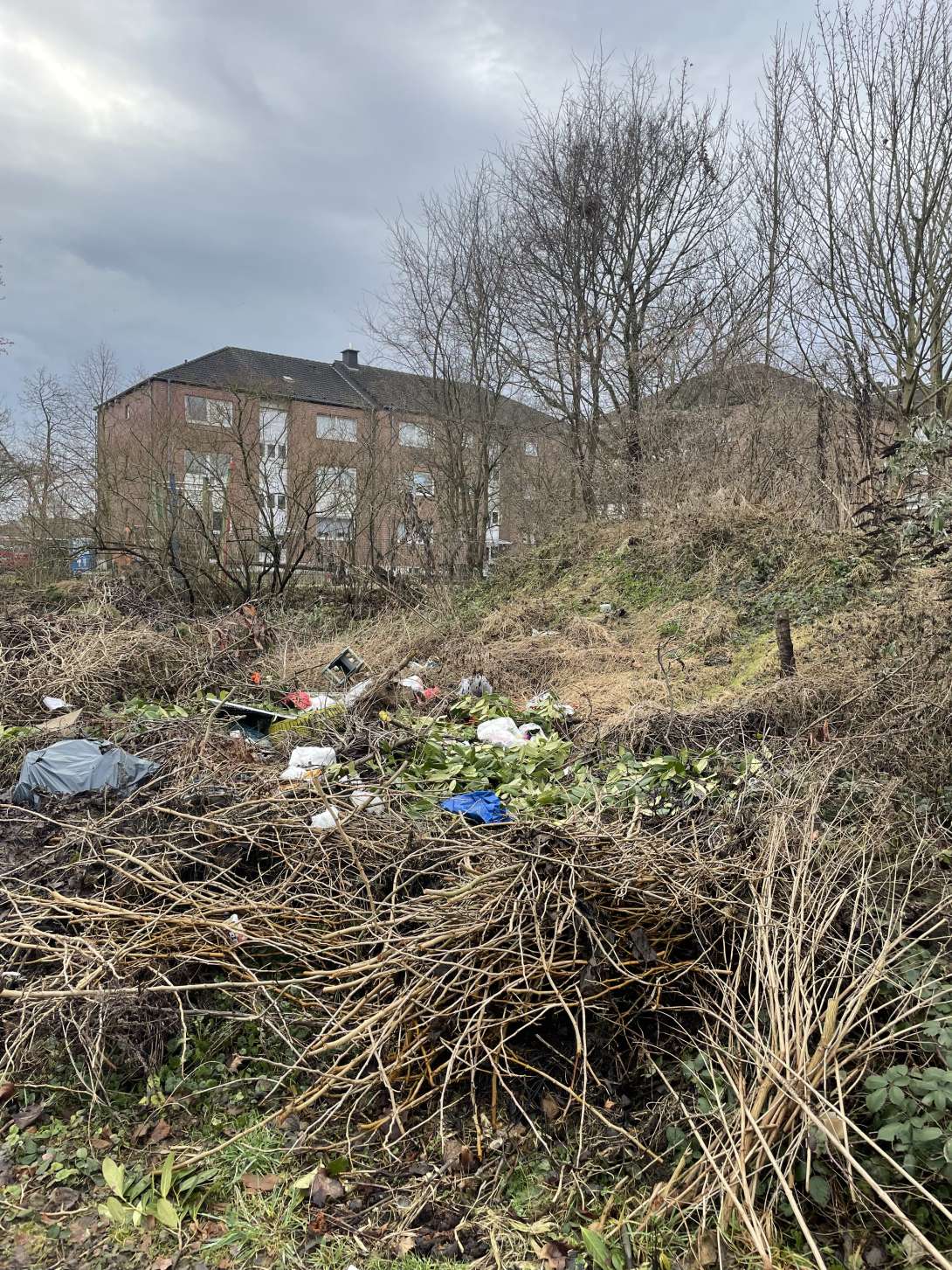 Bild zu gemeldetem Anliegen vom *2026-01-13 19:04:54