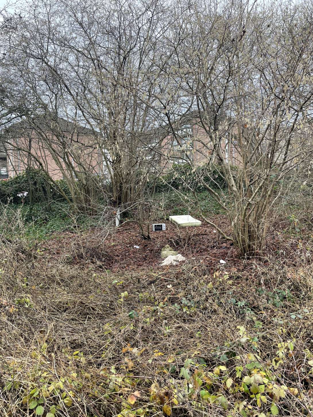 Bild zu gemeldetem Anliegen vom *2026-01-13 19:06:13