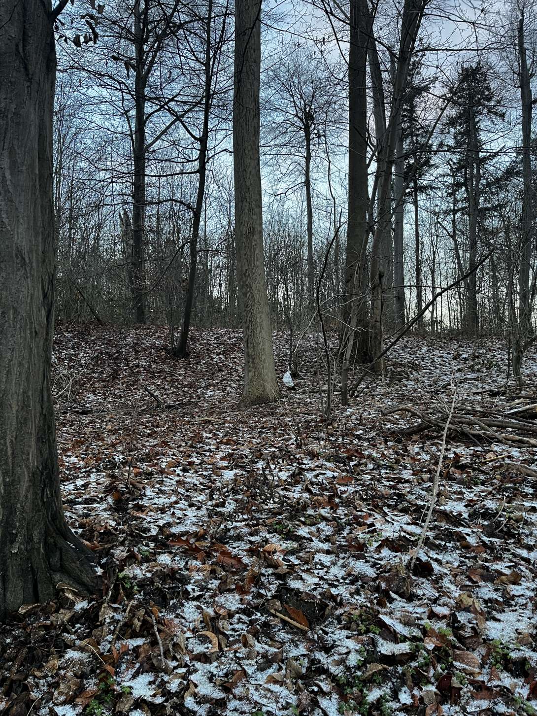 Bild zu gemeldetem Anliegen vom *2026-01-02 08:46:23