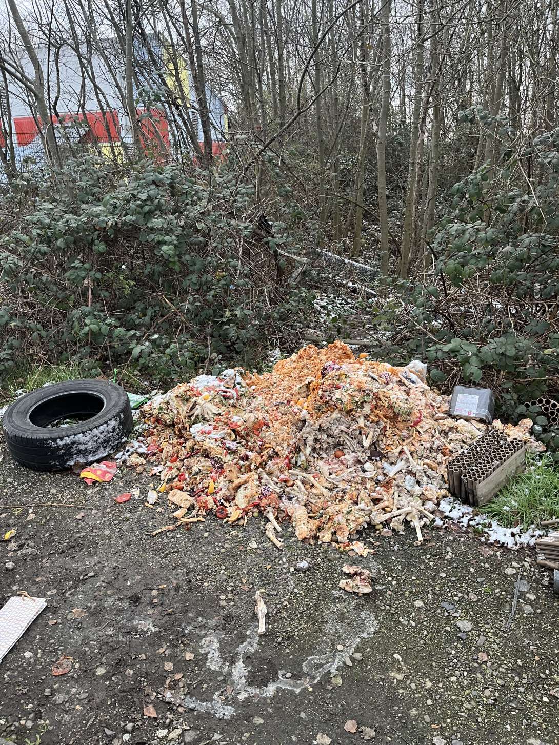 Bild zu gemeldetem Anliegen vom *2026-01-03 10:10:28