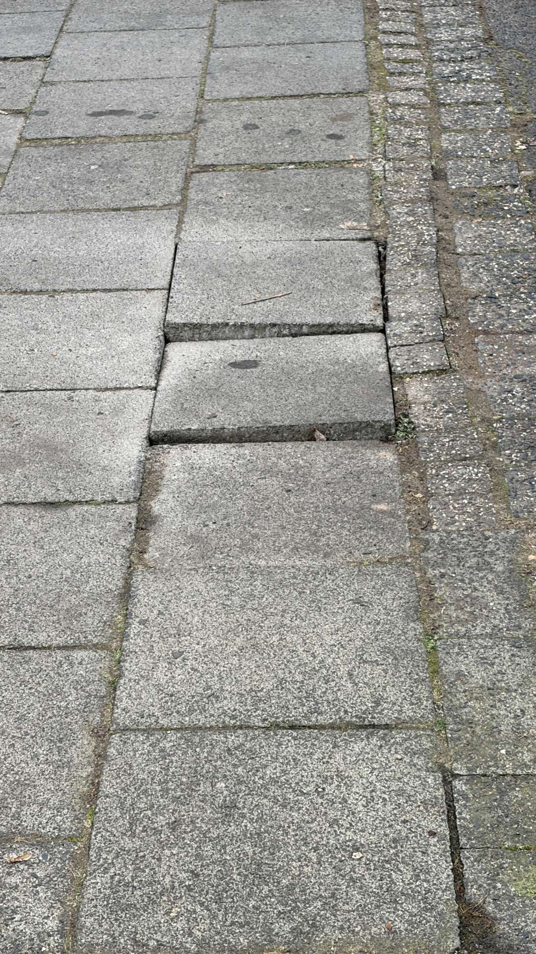 Bild zu gemeldetem Anliegen vom *2026-01-06 18:13:12