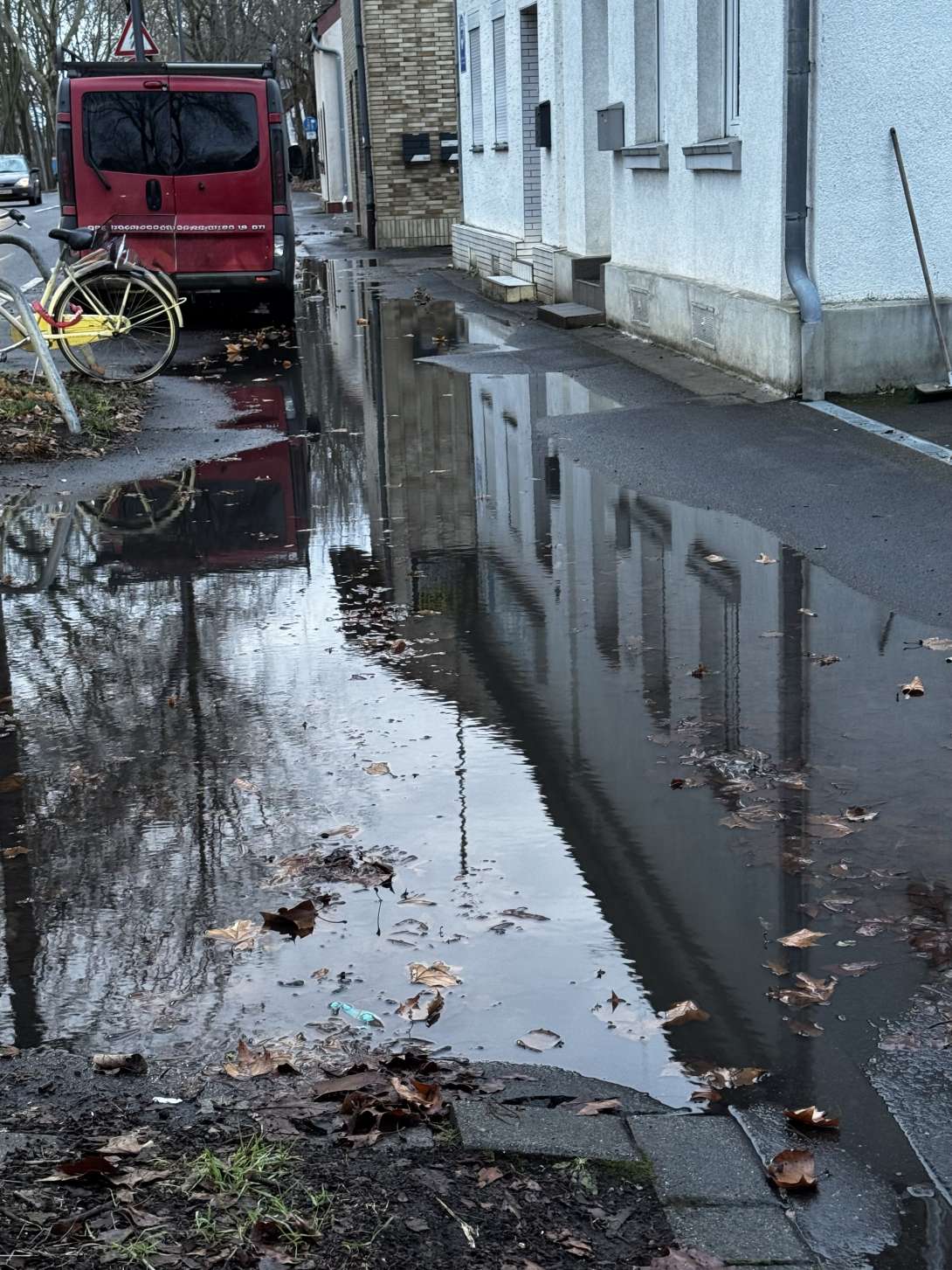 Bild zu gemeldetem Anliegen vom *2026-01-10 12:36:14