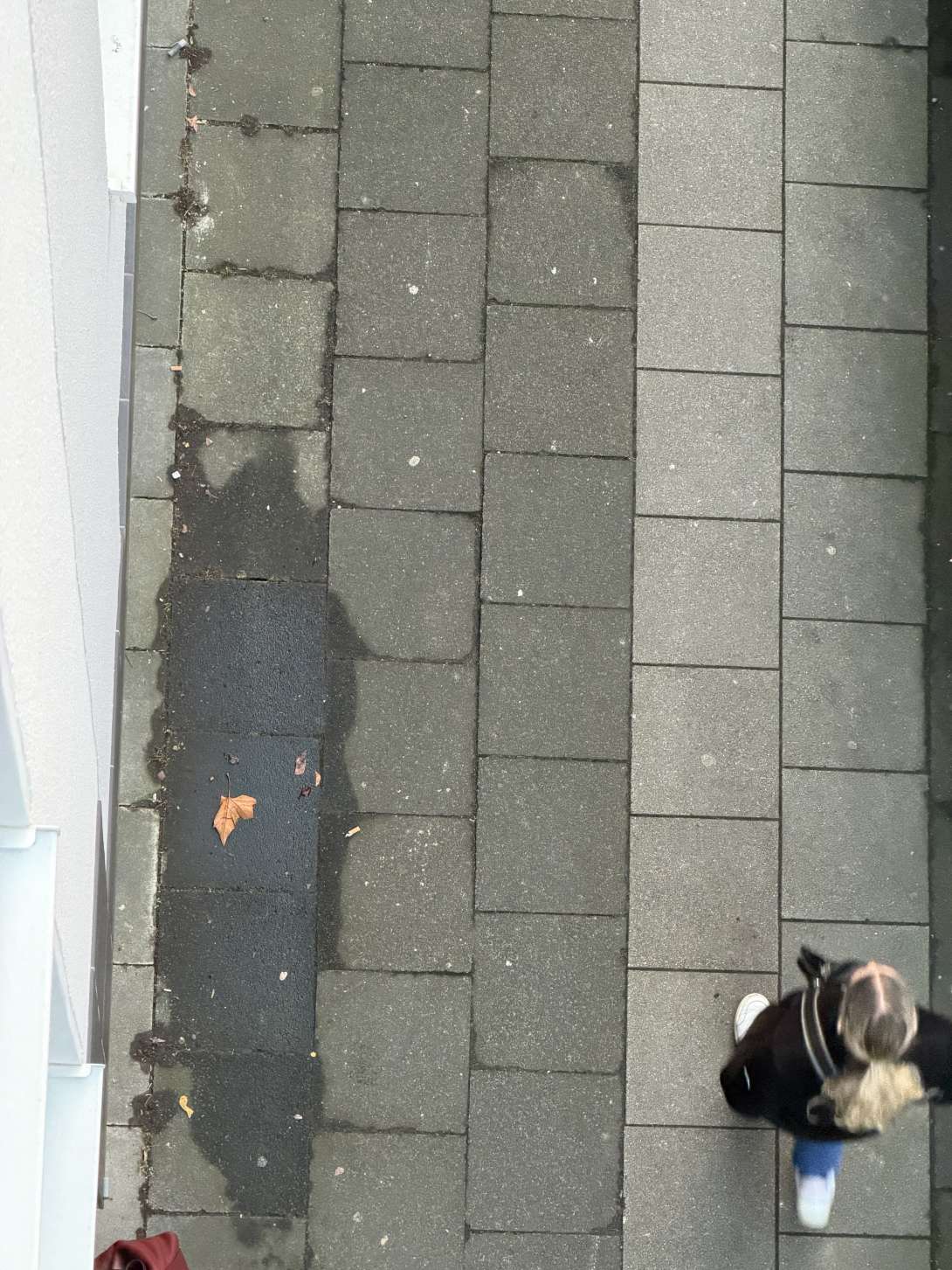 Bild zu gemeldetem Anliegen vom *2026-01-04 16:50:45