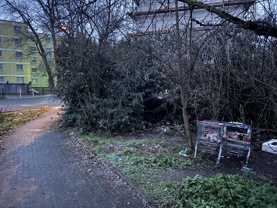 Bild zu gemeldetem Anliegen vom *2026-01-02 16:56:13