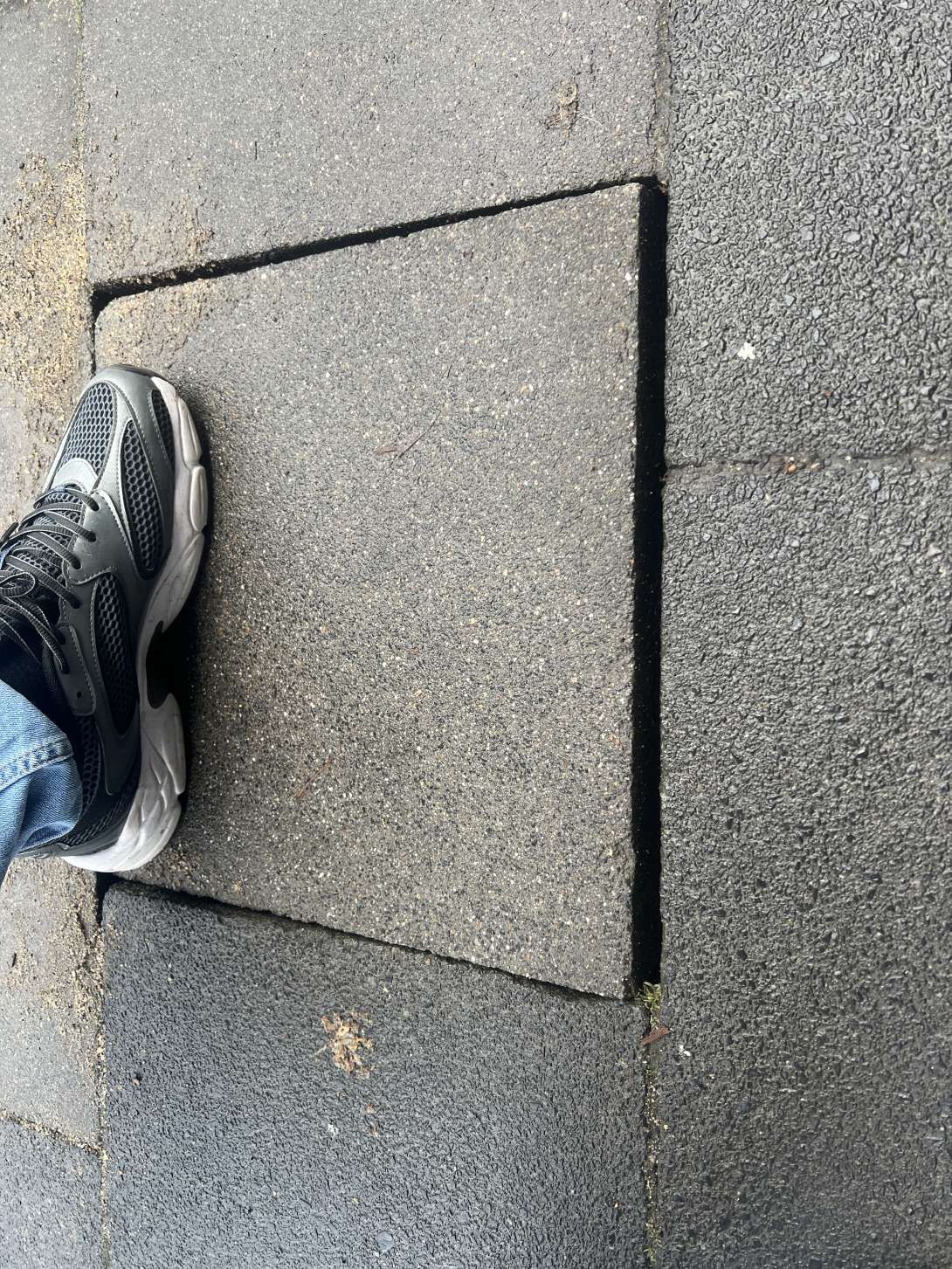 Bild zu gemeldetem Anliegen vom *2026-01-13 15:30:23