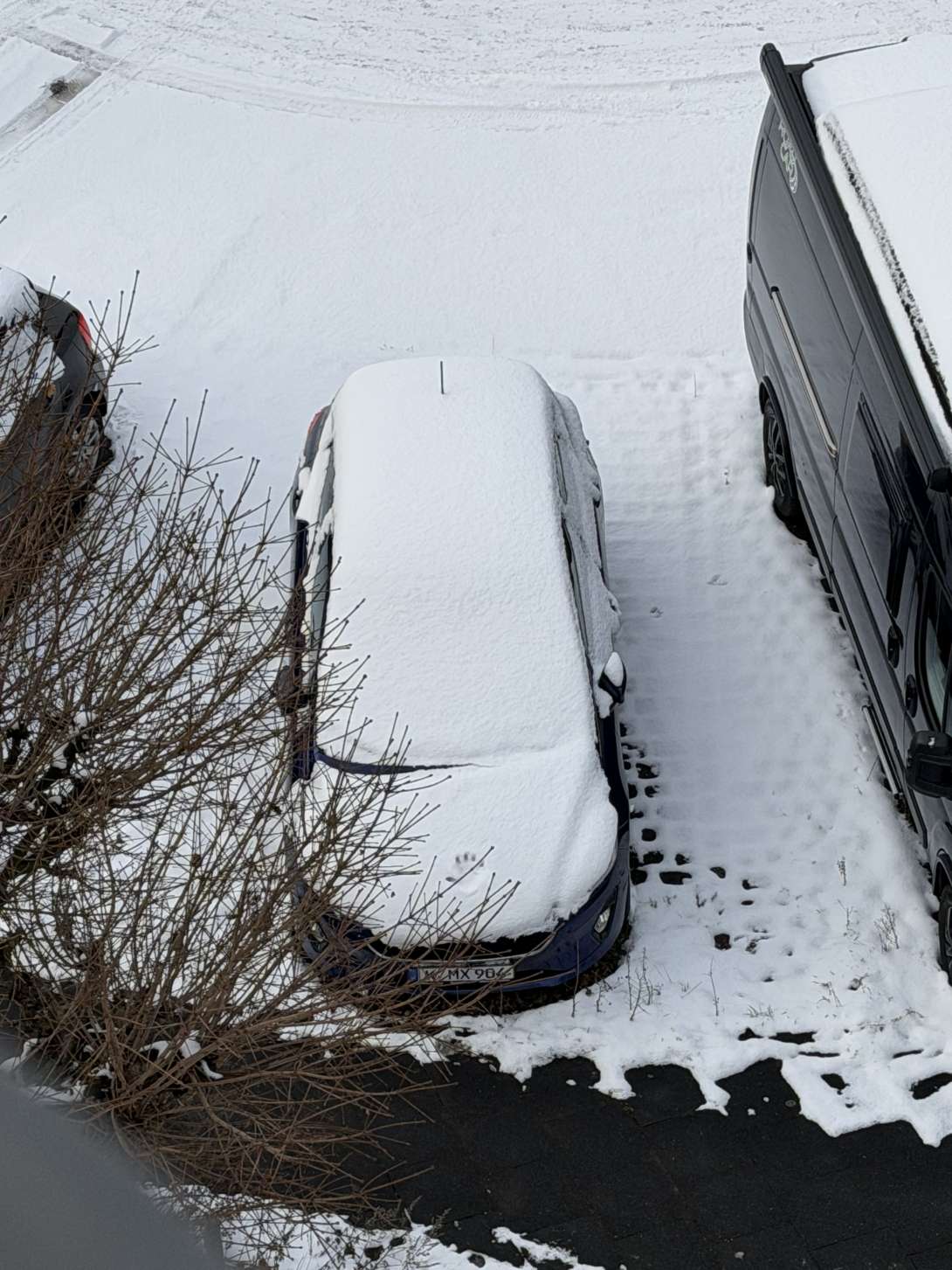 Bild zu gemeldetem Anliegen vom *2026-01-08 09:27:03