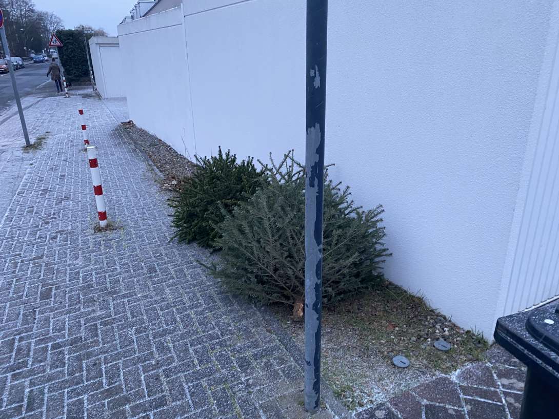 Bild zu gemeldetem Anliegen vom *2026-01-05 16:42:51