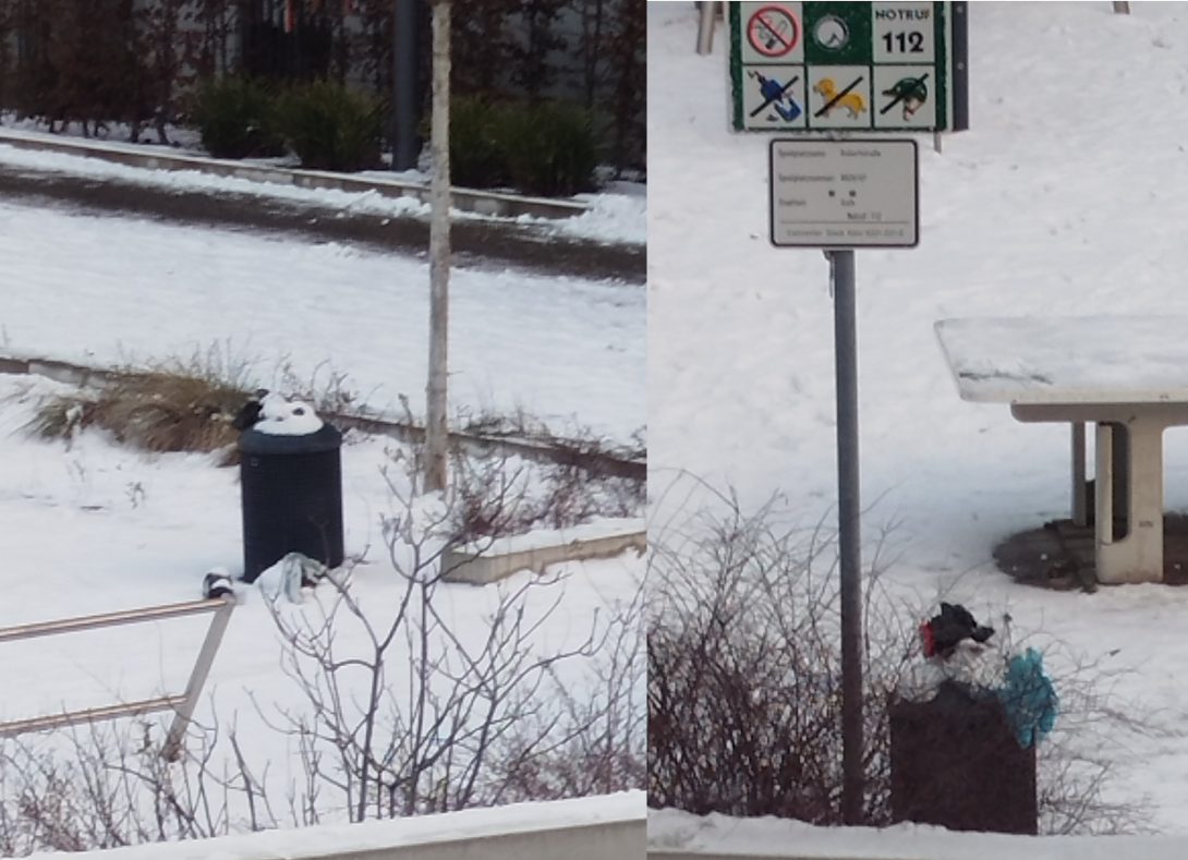 Bild zu gemeldetem Anliegen vom *2026-01-08 10:05:21