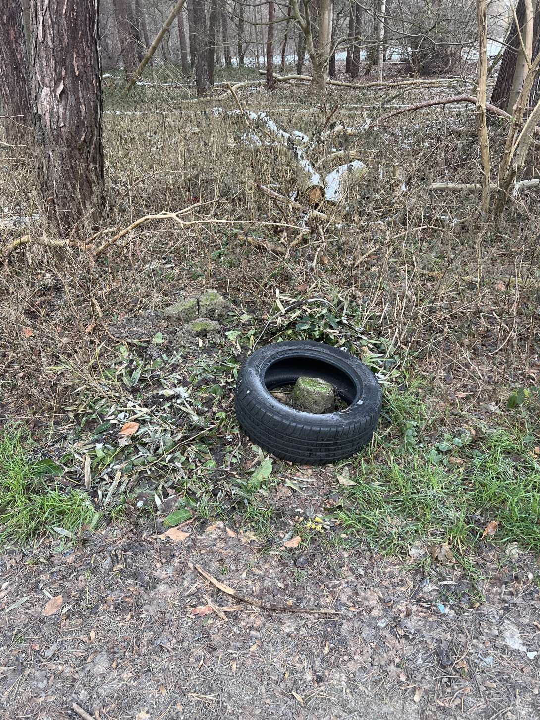 Bild zu gemeldetem Anliegen vom *2026-01-05 09:23:41