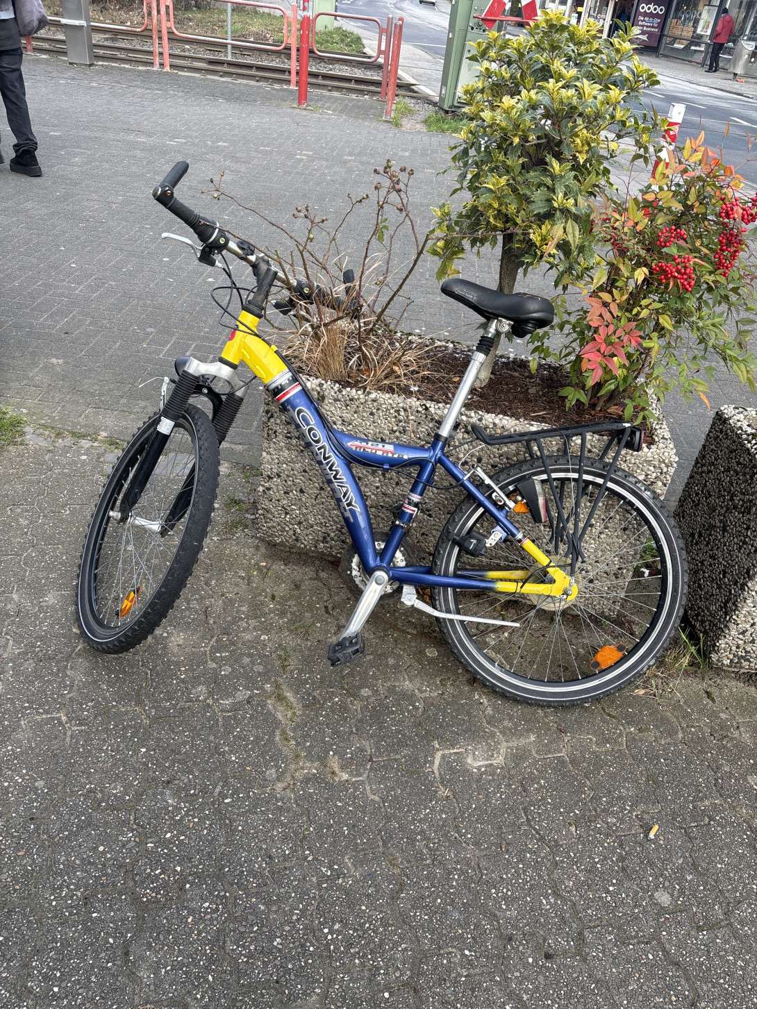 Bild zu gemeldetem Anliegen vom *2026-01-05 09:33:27