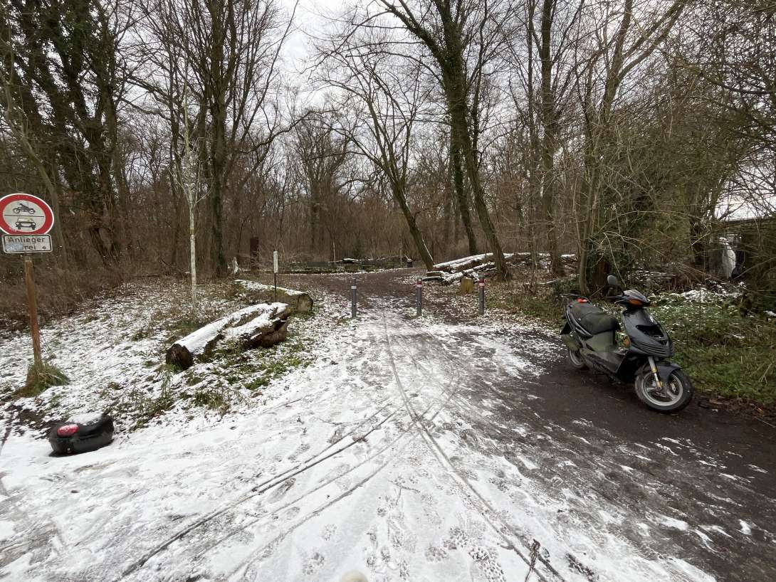 Bild zu gemeldetem Anliegen vom *2026-01-04 13:33:38