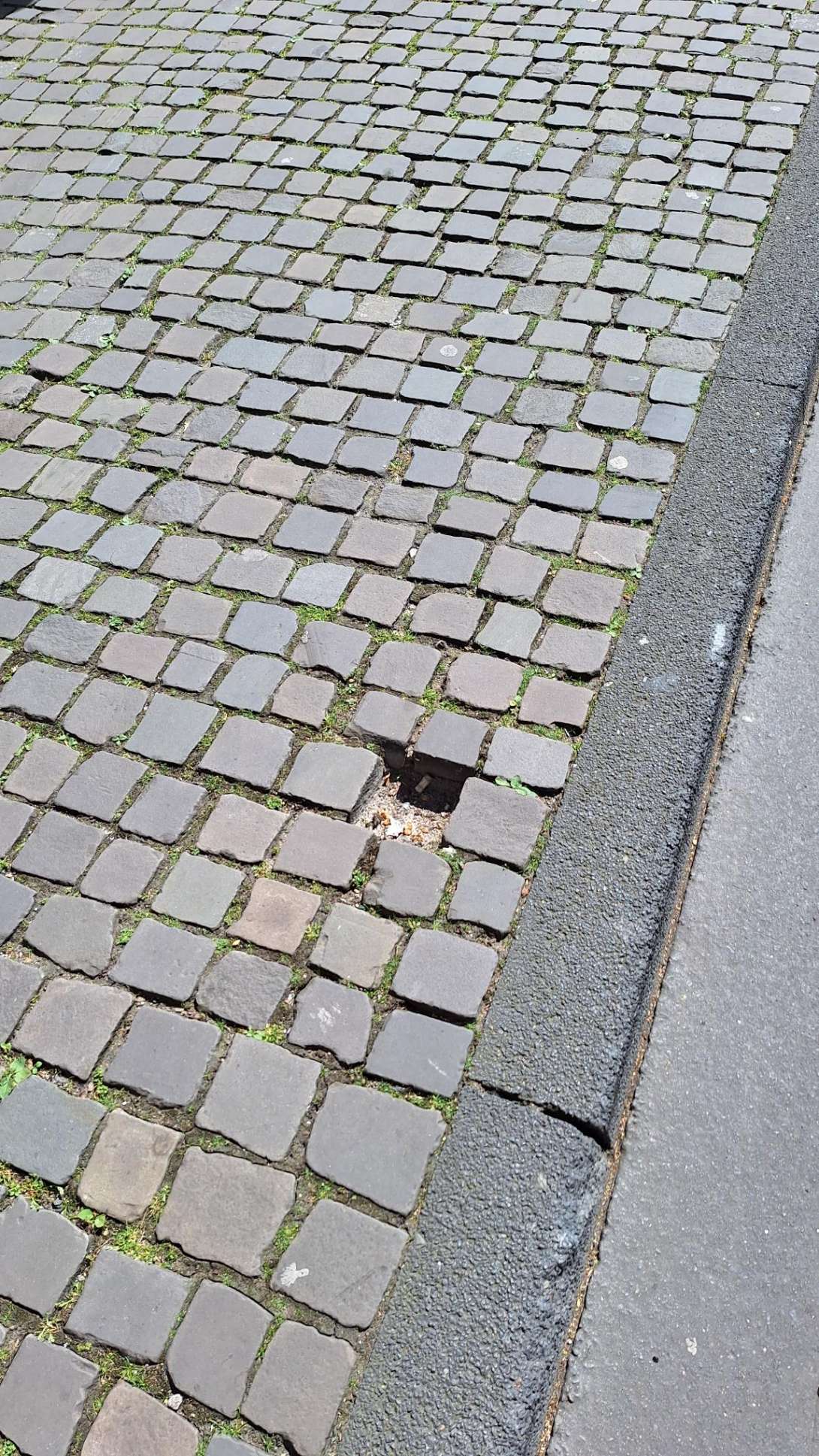 Bild zu gemeldetem Anliegen vom *2026-04-29 09:27:06