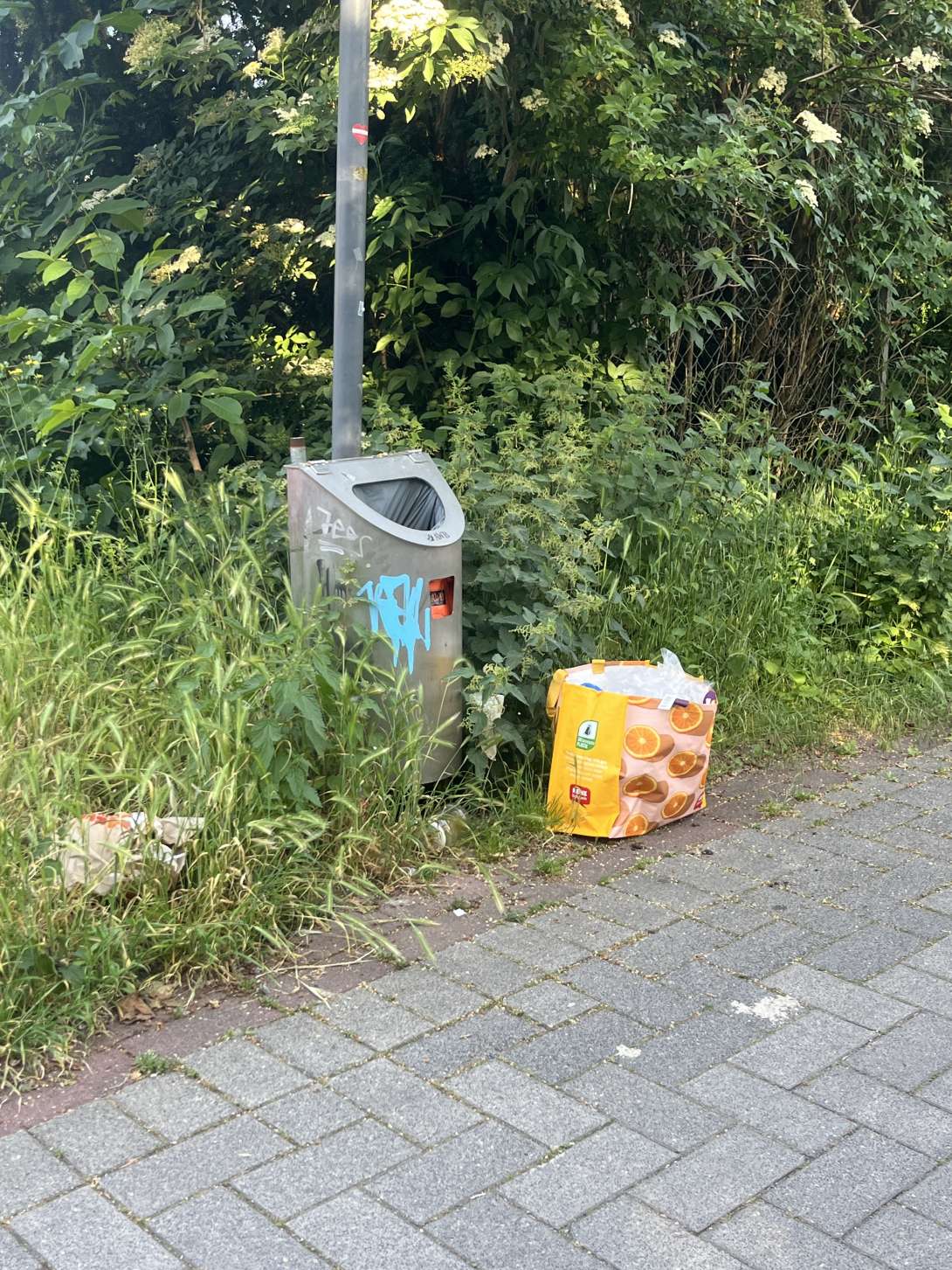 Bild zu gemeldetem Anliegen vom *2026-05-27 06:27:06