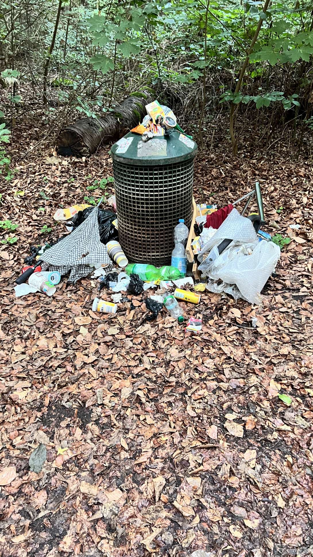 Bild zu gemeldetem Anliegen vom *2026-09-18 07:29:47