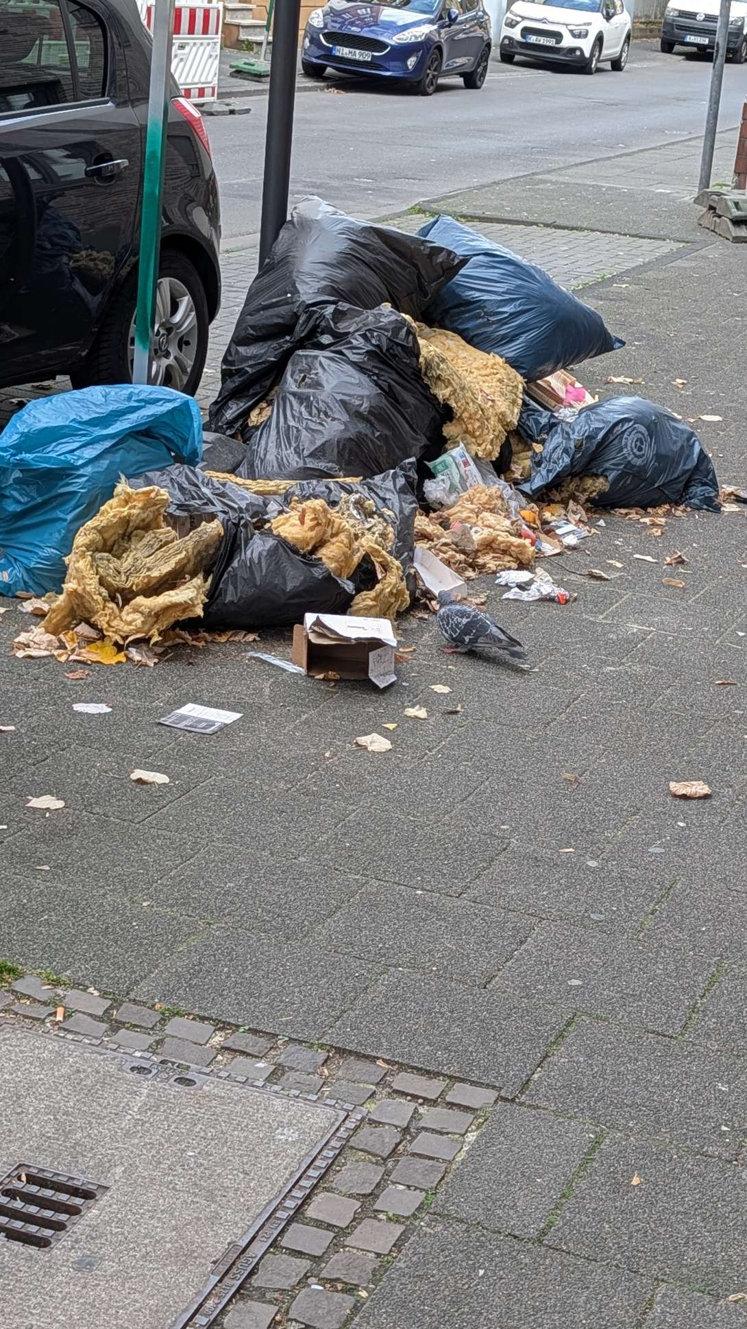 Bild zu gemeldetem Anliegen vom *2026-09-18 06:28:06